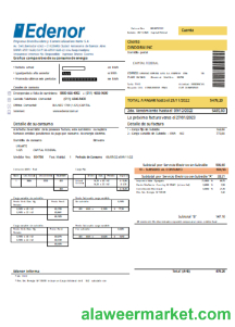Edenor easy to fill utility business bill SCR